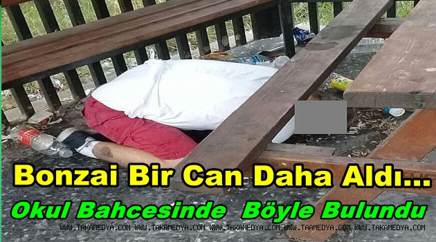 BONZAİ CAN ALMAYA DEVAM EDİYOR