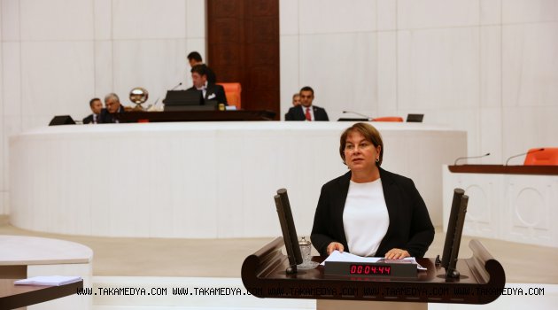“Çiftçiye 300 koyunun temini nereden yapılacak?”