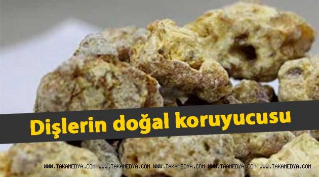DOĞAL DİŞ KORUYUCUSU