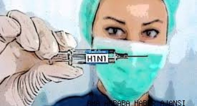 Domuz gribi virüs'ü Domuz gibi güçleniyor