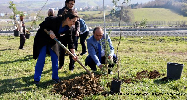 Dr. Dağdemir'in anısına fidan diktiler