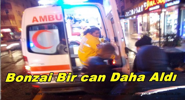Ertuğrul Yılmaz Bonzai Kurbanı Oldu