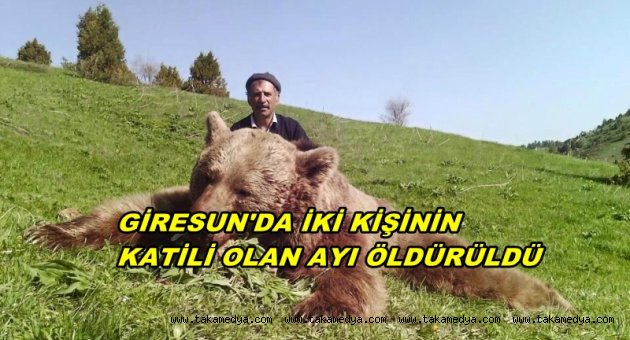GİRESUNDA AYI OPERASYONU