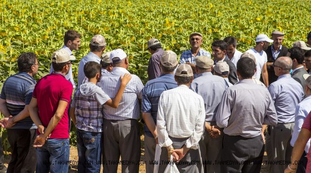 GÜBRETAŞ Bilinçli Tarımı Her Alanda Destekliyor