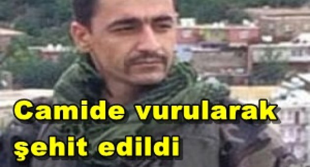 Hainler camide şehit etti!