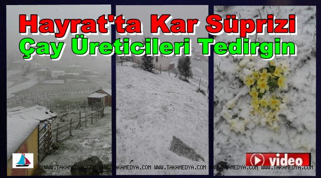 Hayrat'ta Kar Yağışı Devam Ediyor