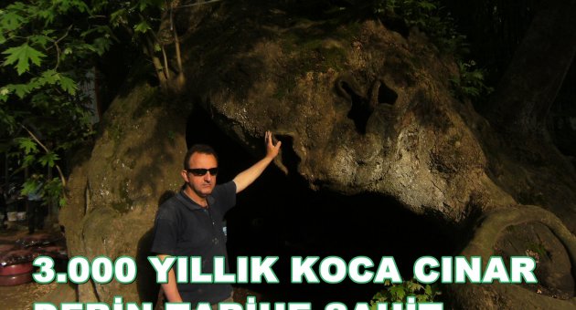 K0CA CINAR ÜÇ BİN YILDIR TARİHİMİZE IŞIK TUTUYOR