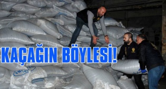 KACAK CAYMI ZEHİR Mİİ?