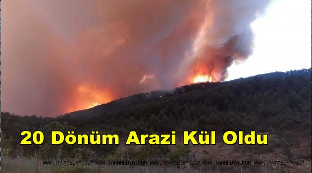 Kastamonu'da Orman Yangını