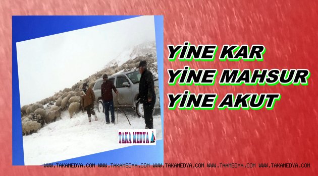 Mahsur Kalan Yedi Kişiyi Akut Kurtardı