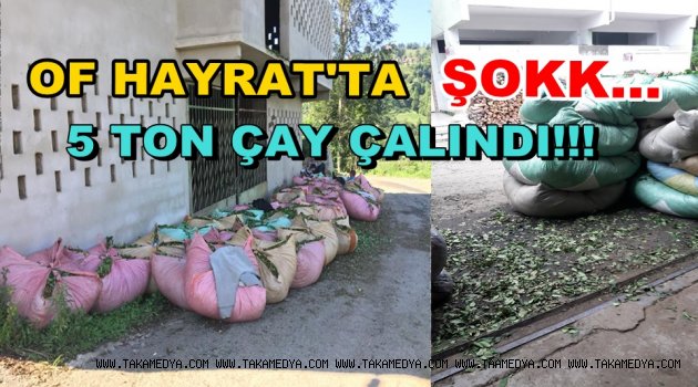 OF HAYRAT'TA ÇAY HIRSIZLIĞI