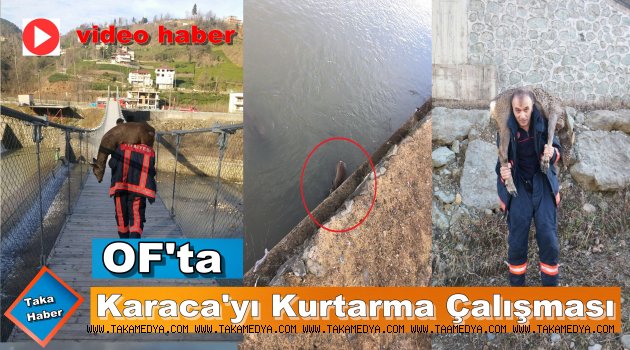 Of'ta Derede mahsur kalan karacayı İtfaiye kurtardı