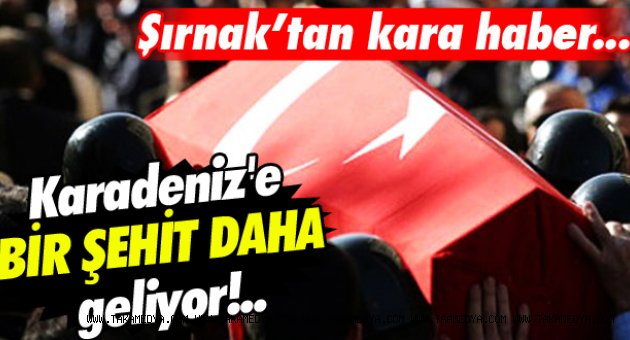 ORDU'YA ŞEHİT ATEŞİ DÜŞTÜ