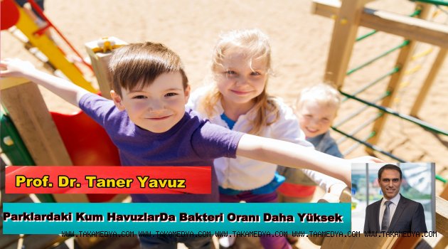 Parklardaki kum havuzlarında tuvaletten 2 bin kat fazla bakteri ve mantar var!
