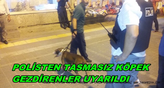 POLİSTEN TASMASIZ KÖPEK GEZDİRENLERE BAYRAM ÖNCESİ OPERASYON