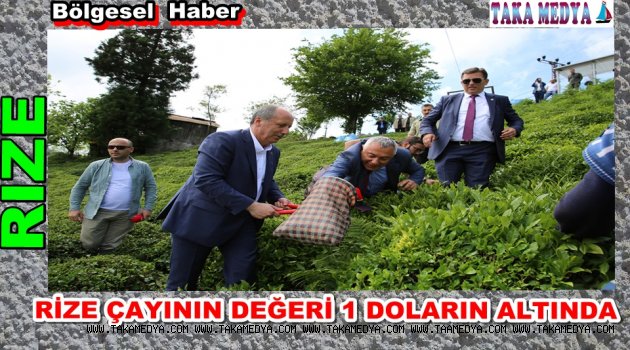 Rize çayının fiyatı Afrika’nın bile gerisinde