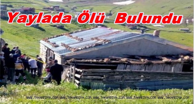 Şahzene Kurt Yayladaki Evinin Önünde Ölü Bulundu