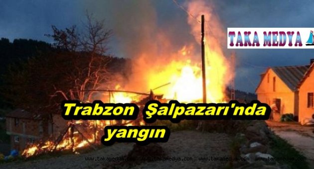 ŞALPAZARI'NDA YANGIN BİR EV KÜL OLDU