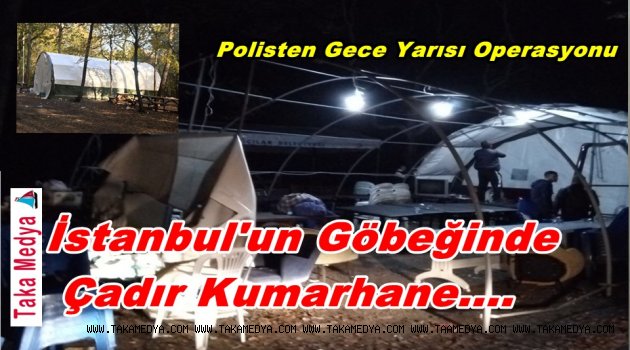 ŞEHİRDE BARINAMADILAR ORMANA KAÇTILAR…