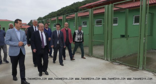 Sokak hayvanları yaşasın diye…