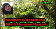 Trabzon'da Ağaçtan Düştü Hayatını Kaybetti