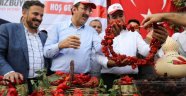 İSOT FESTİVALİ, İSOT HASADI İLE BAŞLADI