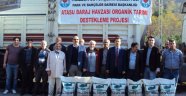 Trabzon’da organik tarım meyvelerini vermeye başladı