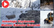 Yaylalarda Mahsur Kalanlara Kurtarma Operasyonu