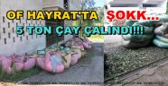 OF HAYRAT'TA ÇAY HIRSIZLIĞI
