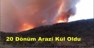 Kastamonu'da Orman Yangını