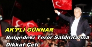 AKPLİ VEKİL GÜNNAR 'KARADENİZ ÜZERİNDEKİ TERÖR OLAYLARINA DİKKAT ÇEKTİ