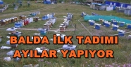 AYI'DAN SONRA SAHTE BALCILAR TÜREDİ