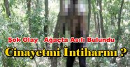 Bahçelievler'de bir kişi ağaca asılı halde bulundu