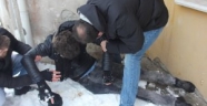 Bonzai İçen Genci Polis Zor İkna Etti