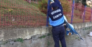 Büyükşehir zabıtası işbaşında