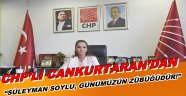 CHP’Lİ CANKURTARAN “SOYLU, GÖKÇEK’İN ROLÜNE SOYUNDU AMA SONU FARKLI OLMAYACAK!”
