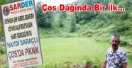 ÇOS DAĞINDA ŞENLİK VAR