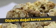 DOĞAL DİŞ KORUYUCUSU