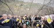 FINDIK BUDAMA DA KADIN ELİ