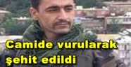 Hainler camide şehit etti!