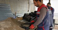 İSTANBUL’UN ÇİÇEKLİ BAHÇESİ: GÜNGÖREN