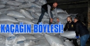 KACAK CAYMI ZEHİR Mİİ?
