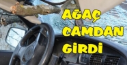 KAMYONETİN ÜZERİNE AĞAÇ DEVRİLDİ