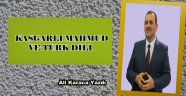 KAŞGARLI MAHMUD VE TÜRK DİLİ