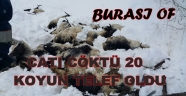 OF'TA CATI CÖKTÜ 20 KÜCÜKBAŞ HAYVAN TELEF OLDU