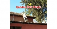 OF'TA İNEK CATIYA CIKTI SAHİBİ ZOR ANLAR YAŞADI