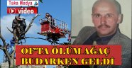Of'ta Mustafa Nalçı Ağaç Budarken Hayatını Kaybetti