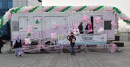 Pembe Prenses iş başında