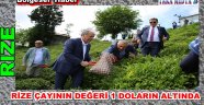 Rize çayının fiyatı Afrika’nın bile gerisinde
