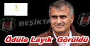 ŞENOL GÜNEŞ YILIN TEKNİK DİREKTÖRÜ SEÇİLDİ